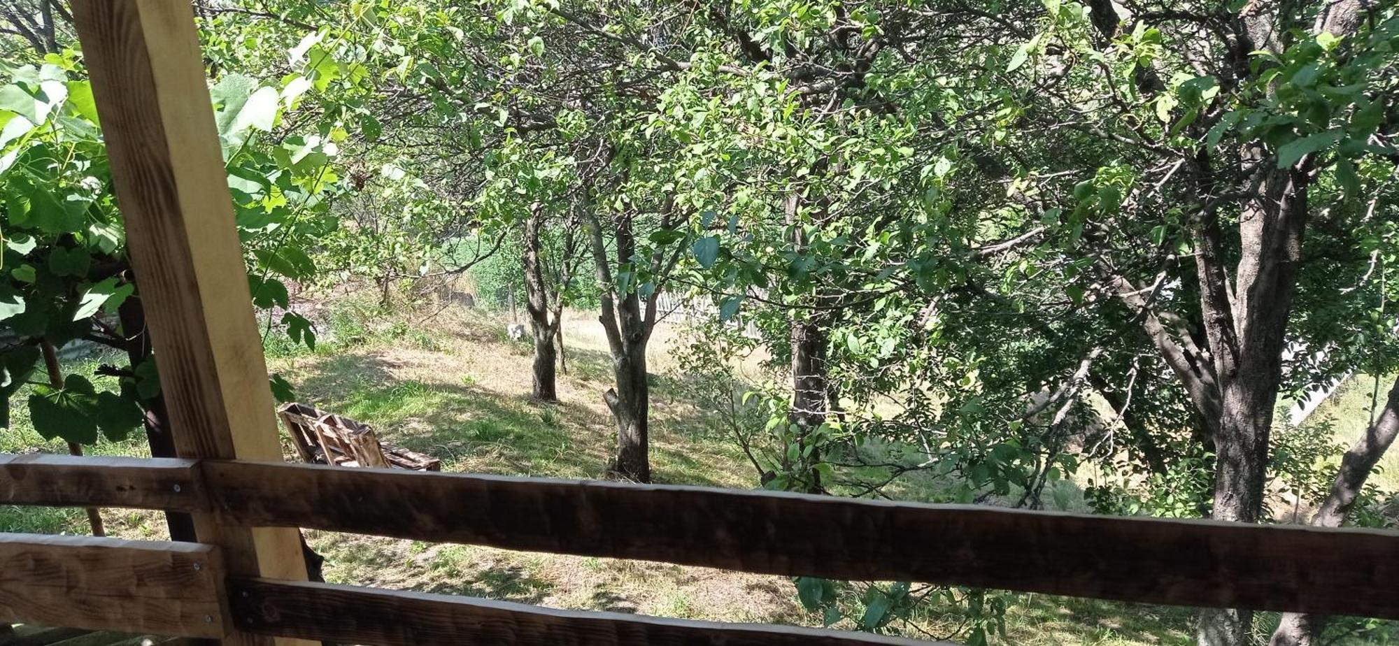 מלון Nakalakevi Mesxta מראה חיצוני תמונה